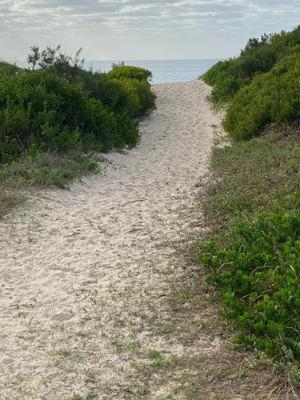 Photo 40