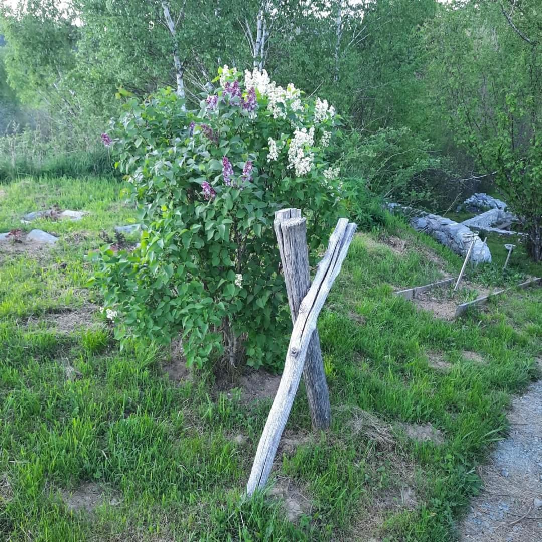 Photo 54