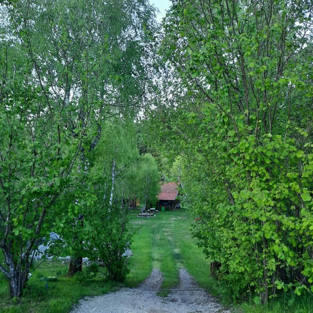Photo 53