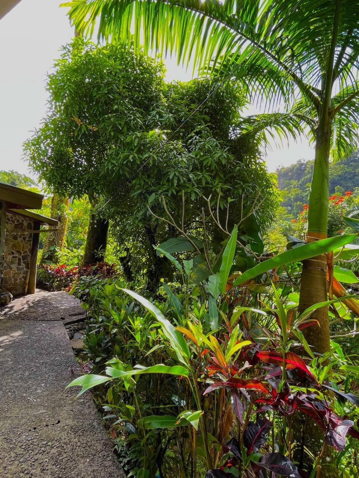 Cocoa Cottage
