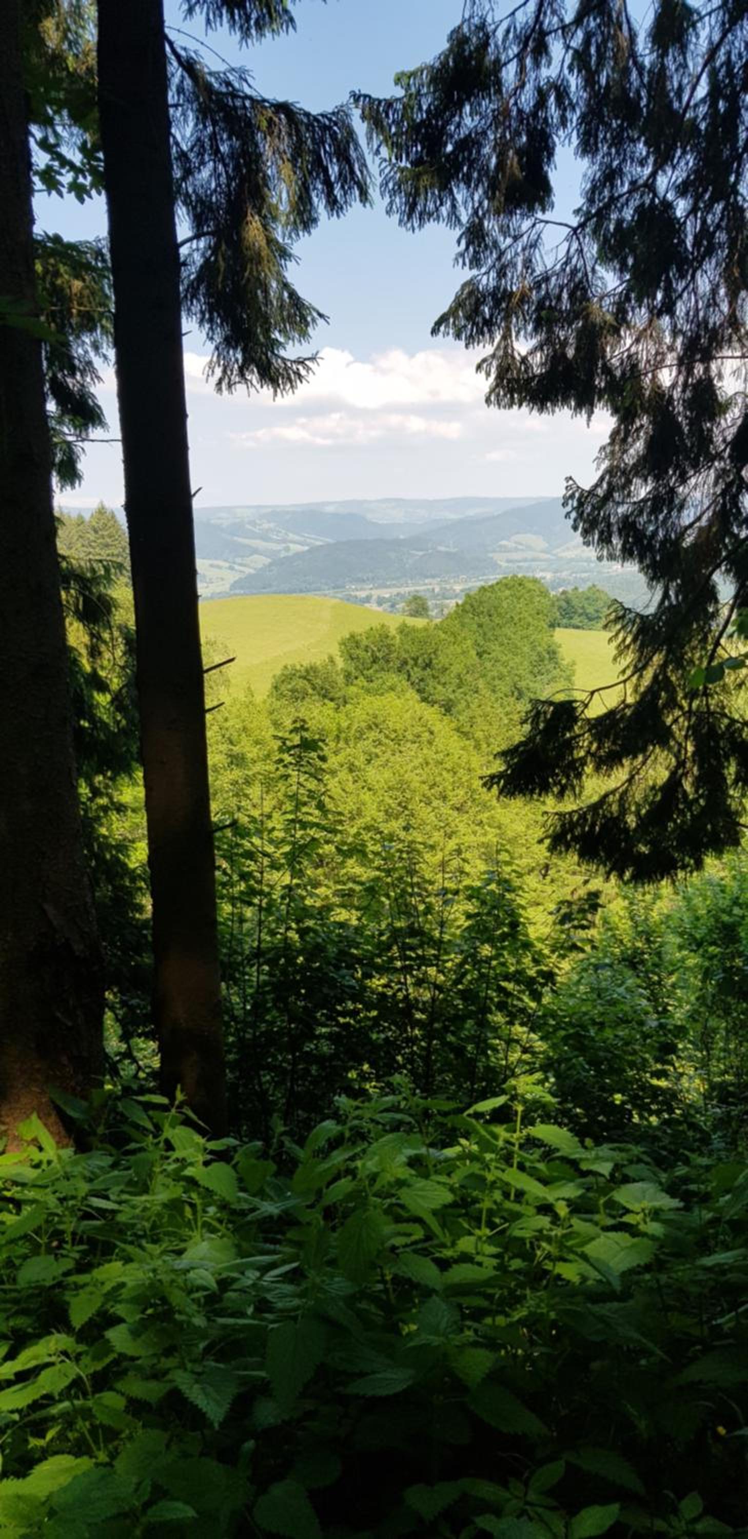 Gasthaus Sternen Post