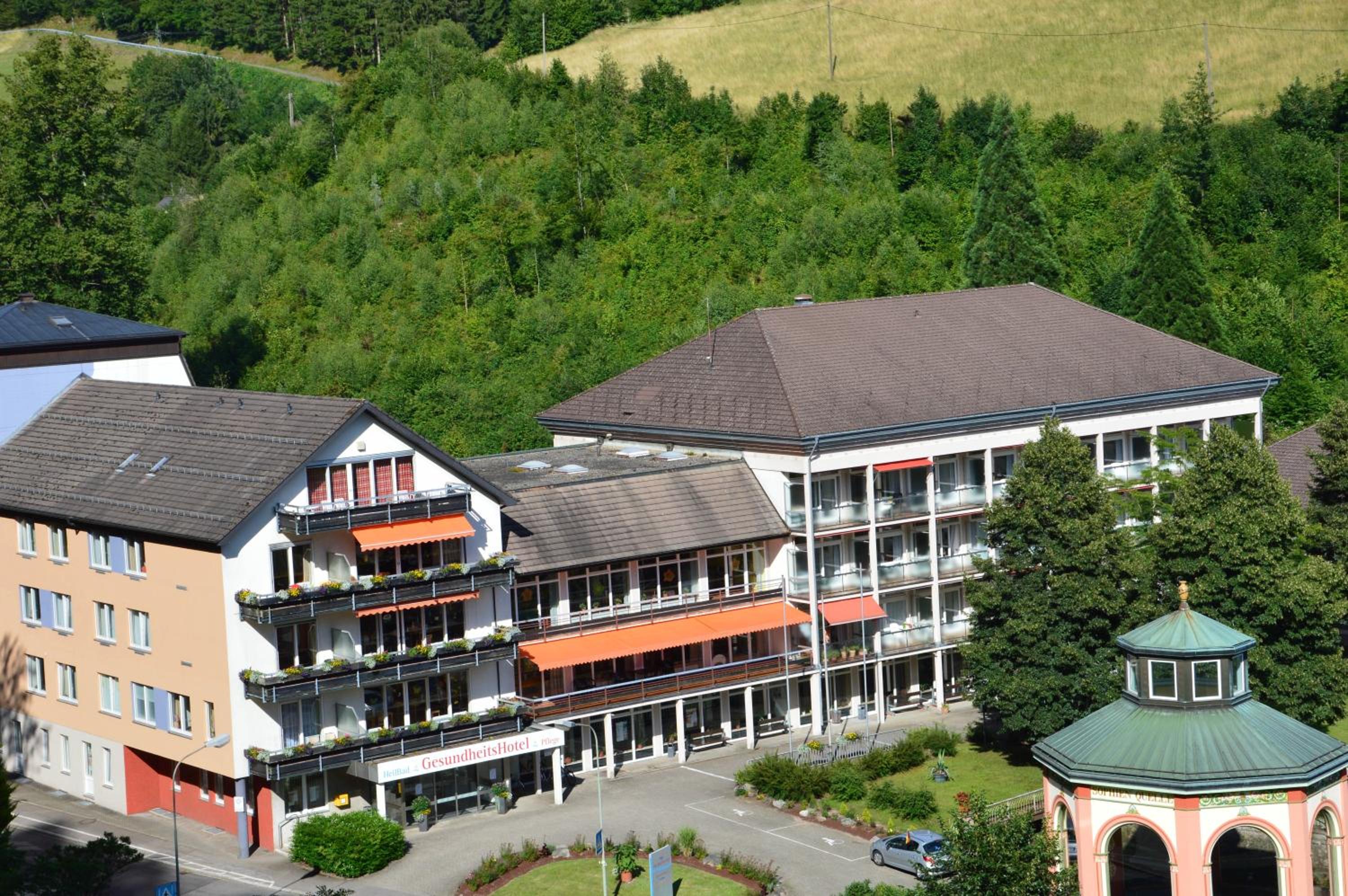 Hotel GesundheitsHotel Das Bad Peterstal - Image 1