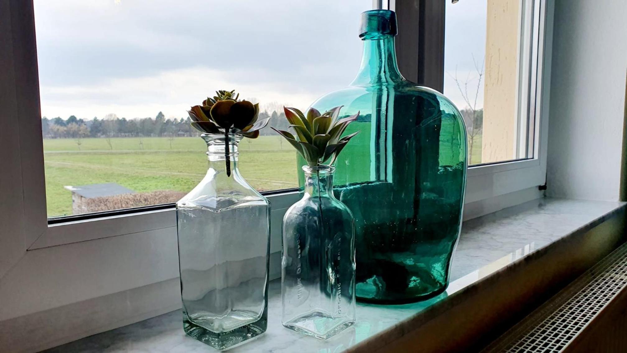 Ferienwohnung Im Grünen