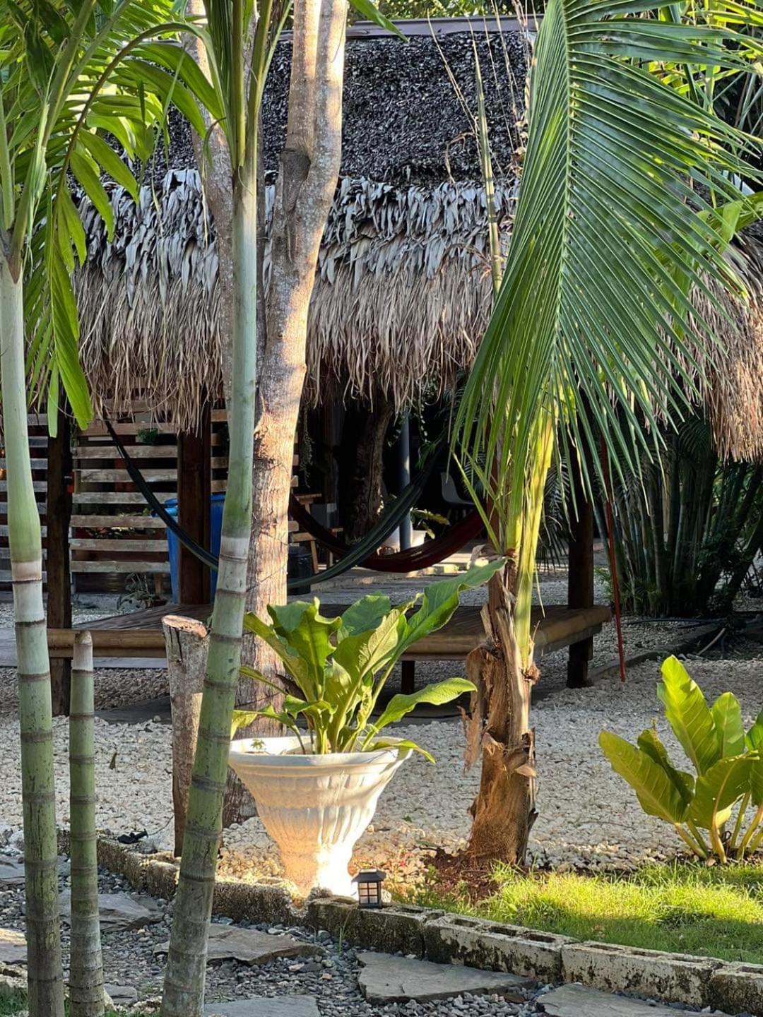 Bohol Island Homestay