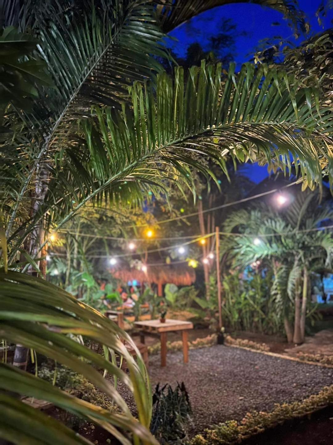 Bohol Island Homestay
