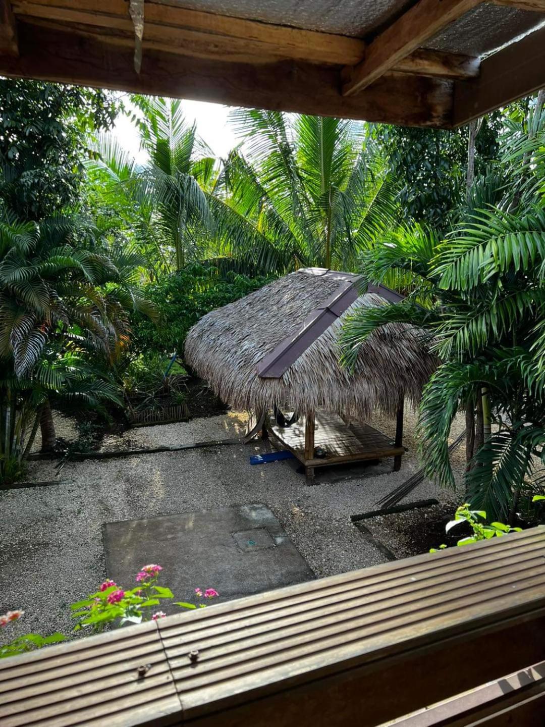 Bohol Island Homestay