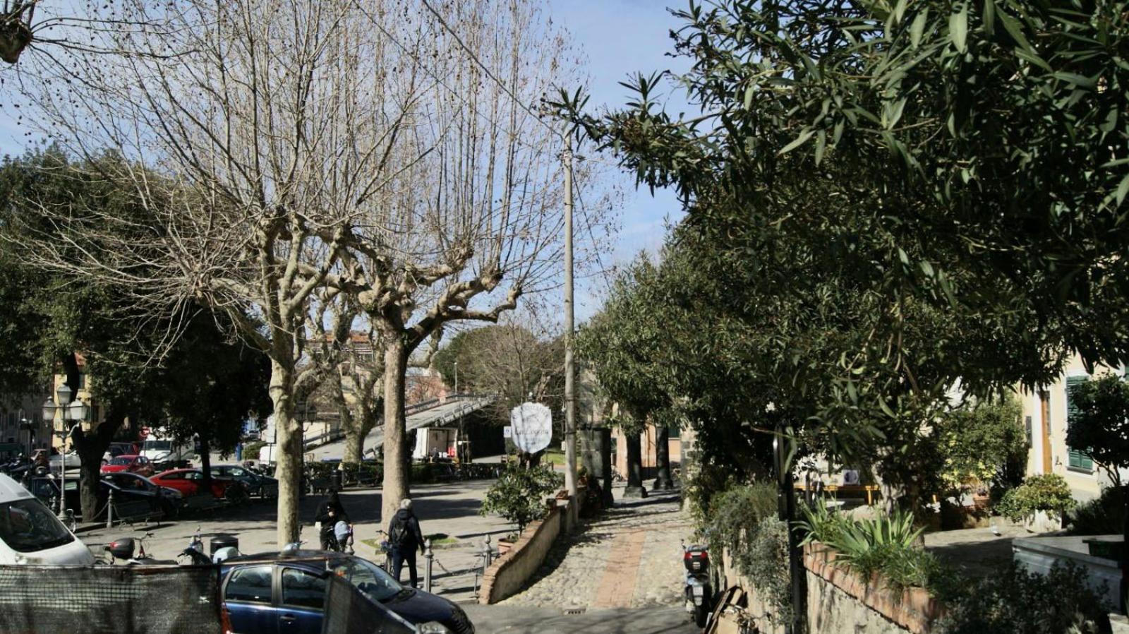 Photo 37