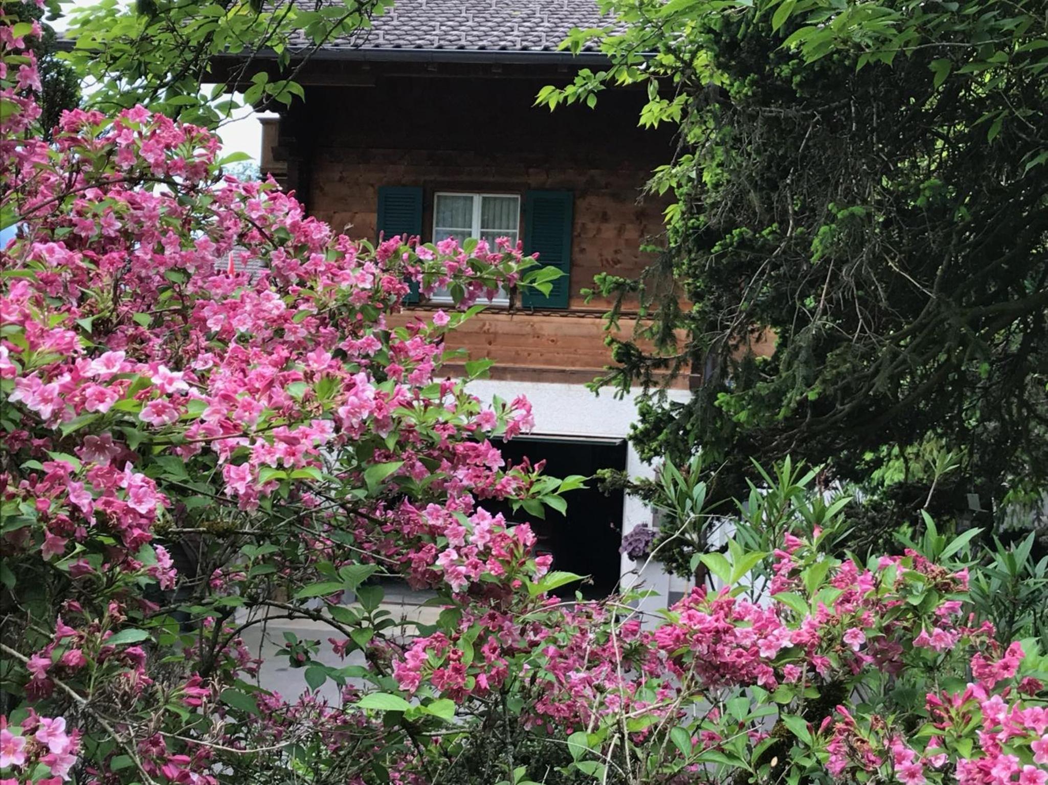 Chalet Rosemarie