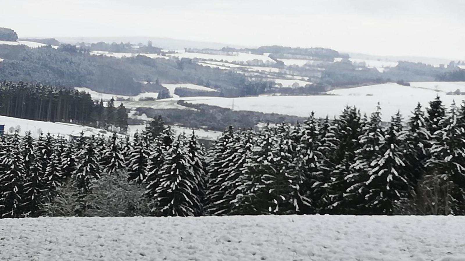 Eifel-Ferienhaus Marga