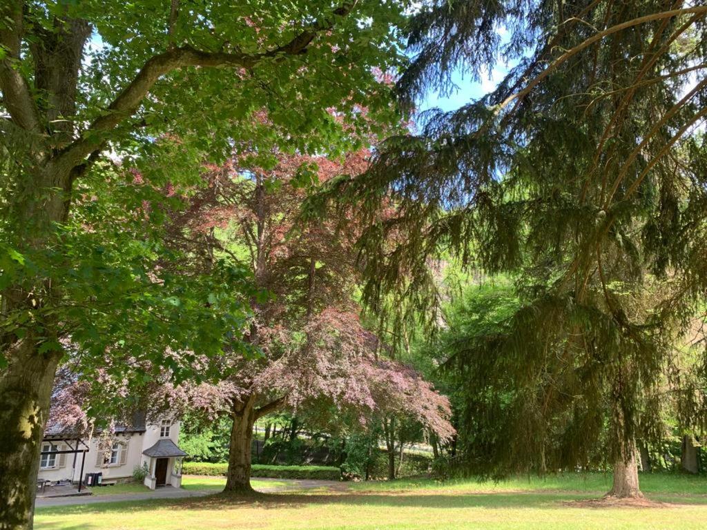 Landsitz Kammerburg