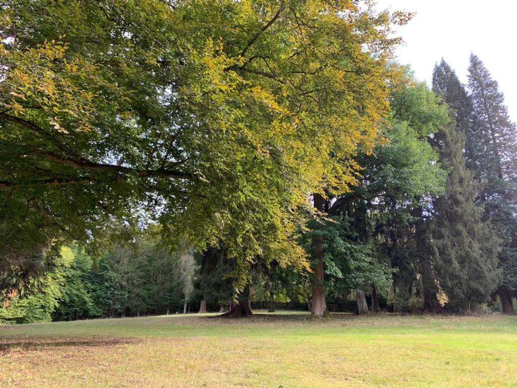 Landsitz Kammerburg