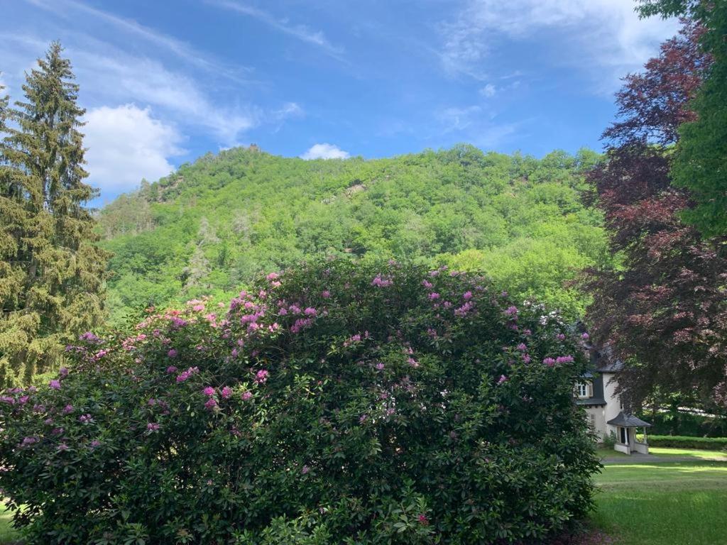 Landsitz Kammerburg
