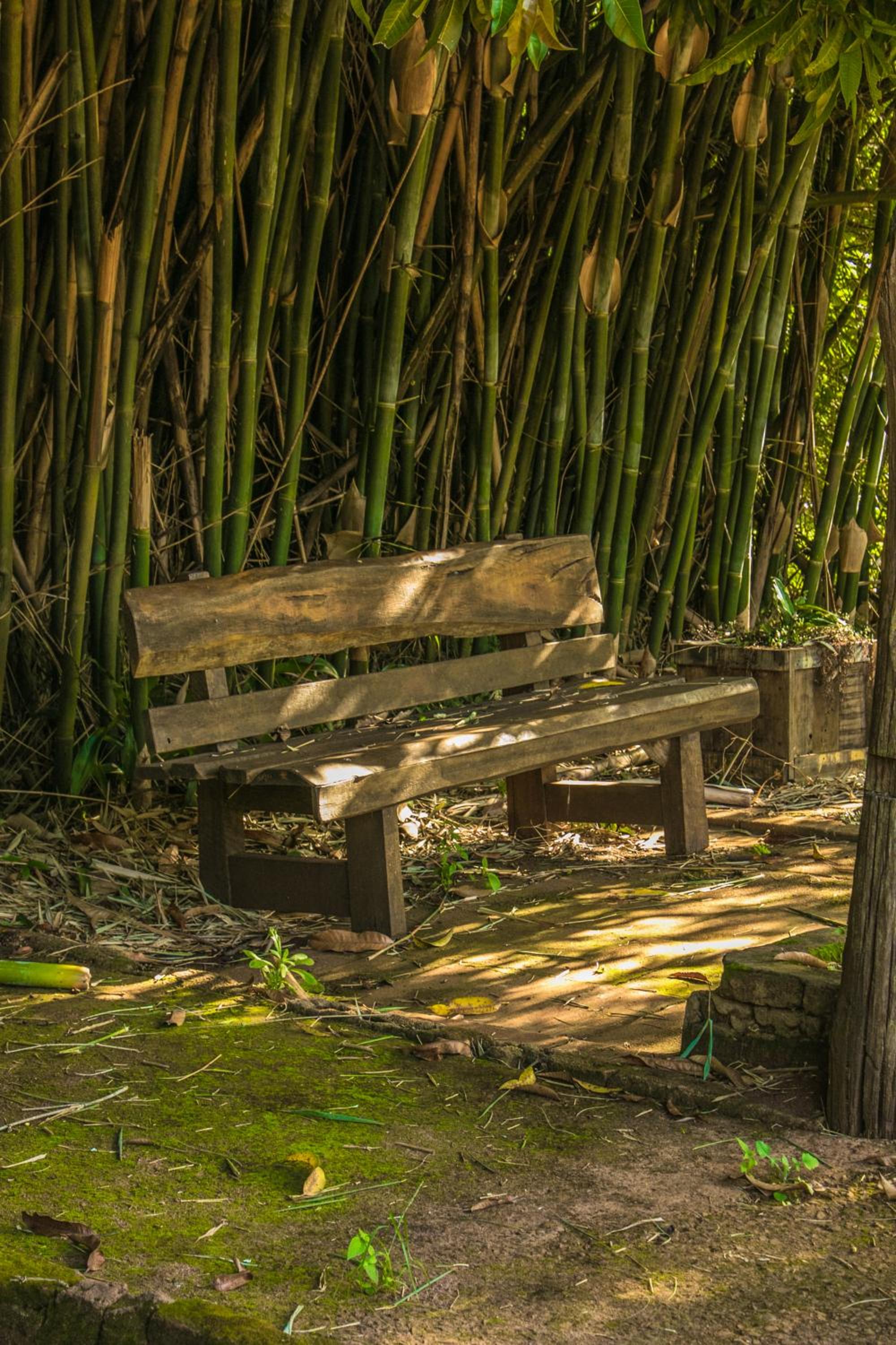 Vila Jacaré