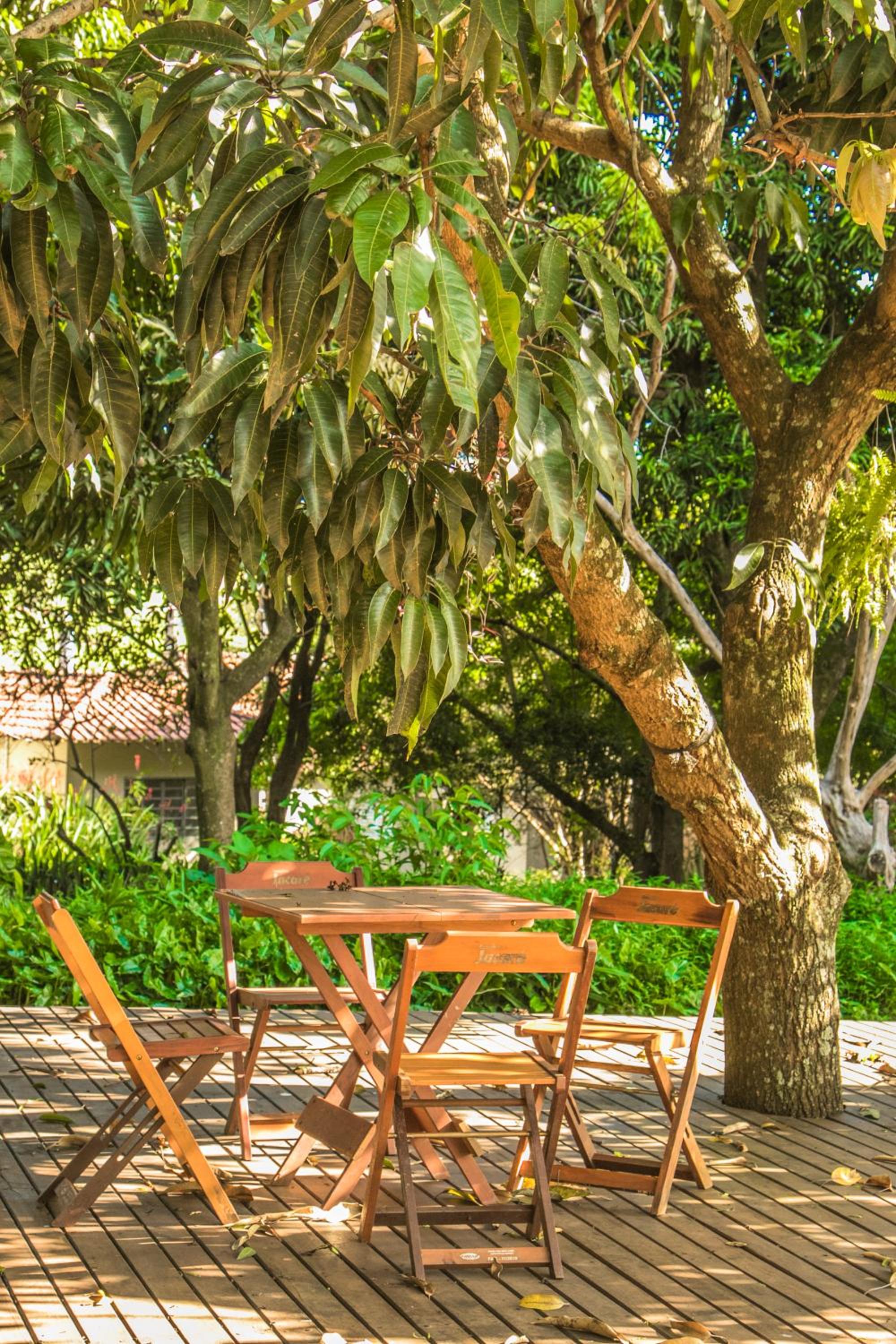 Vila Jacaré