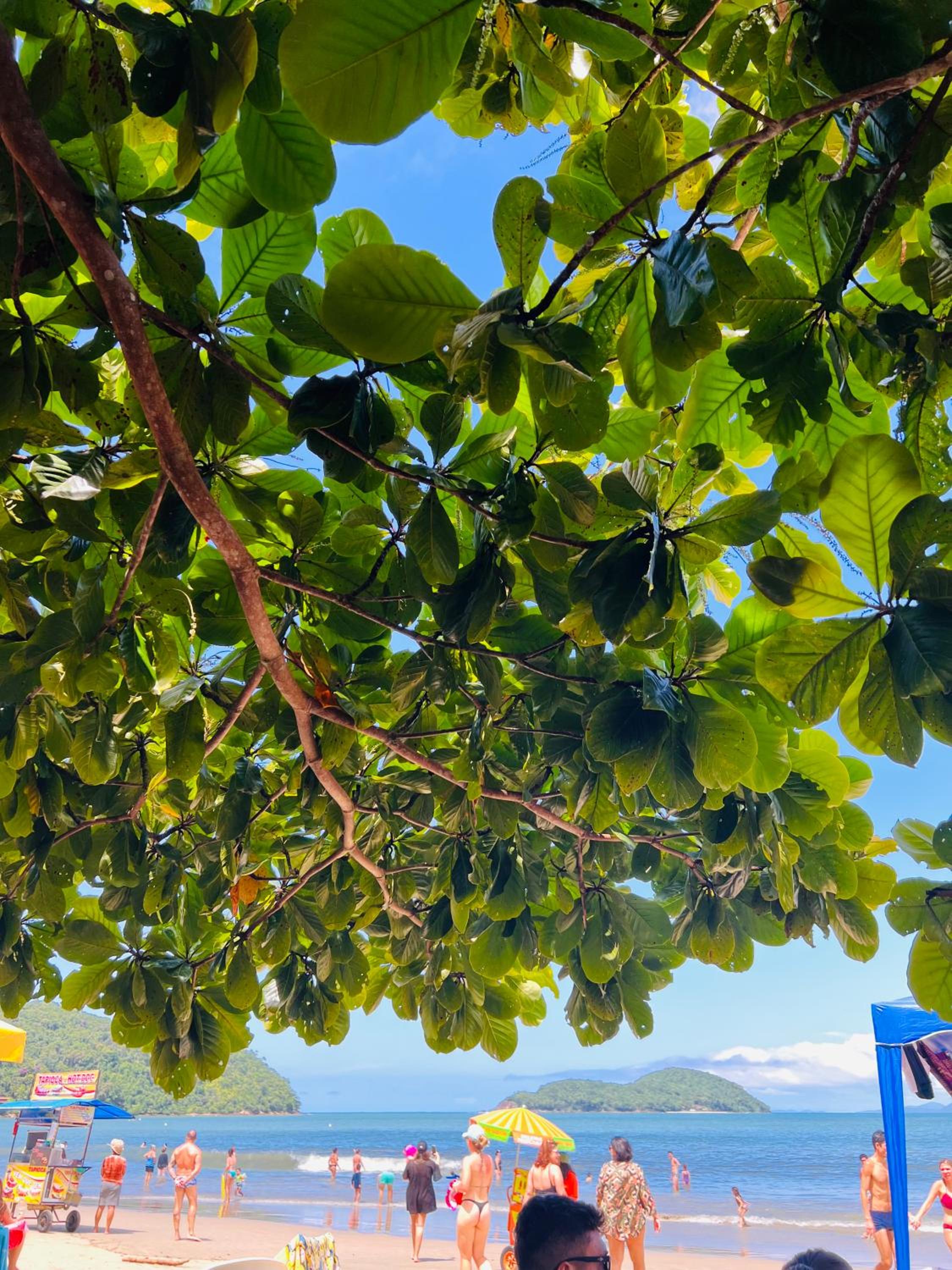 Praia Ubatuba Apartamento SilBraSil