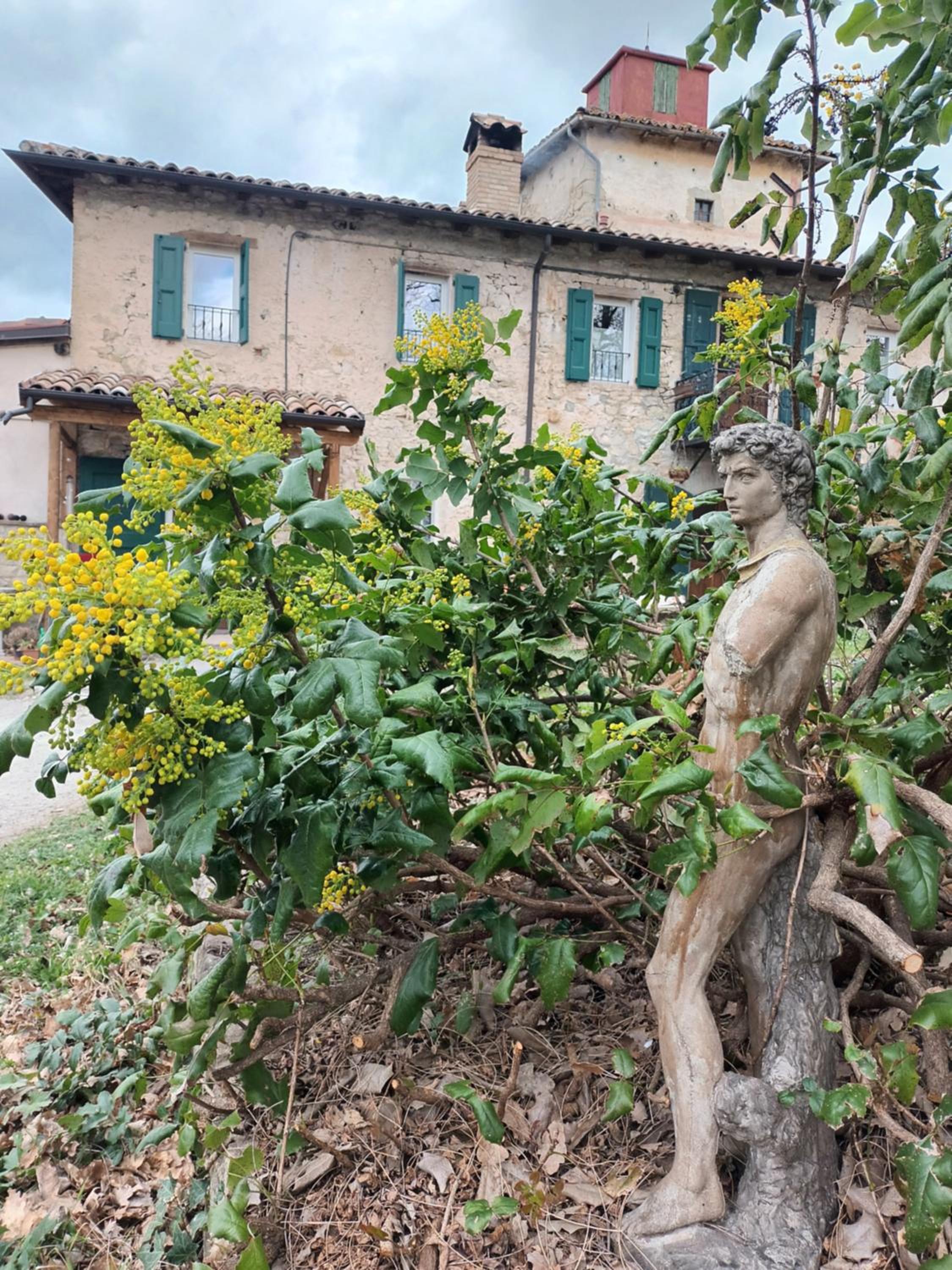 Ca' Morano