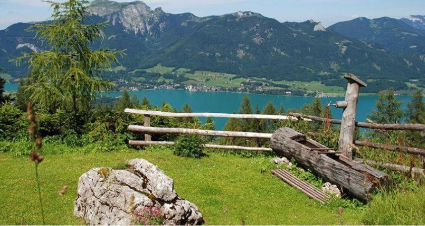 Seestern Strobl