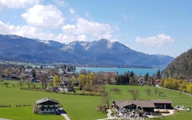 Seestern Strobl