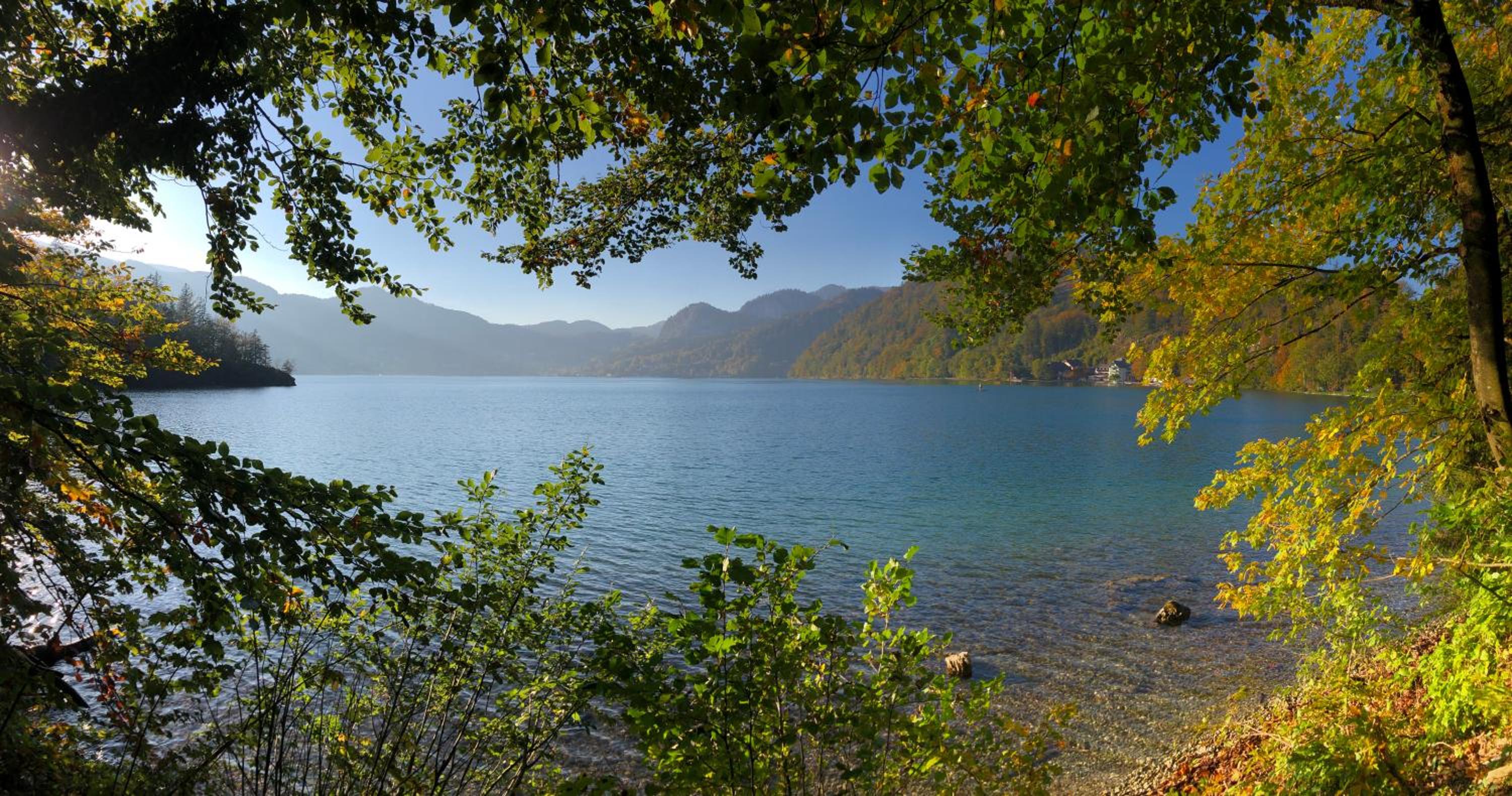Seestern Strobl