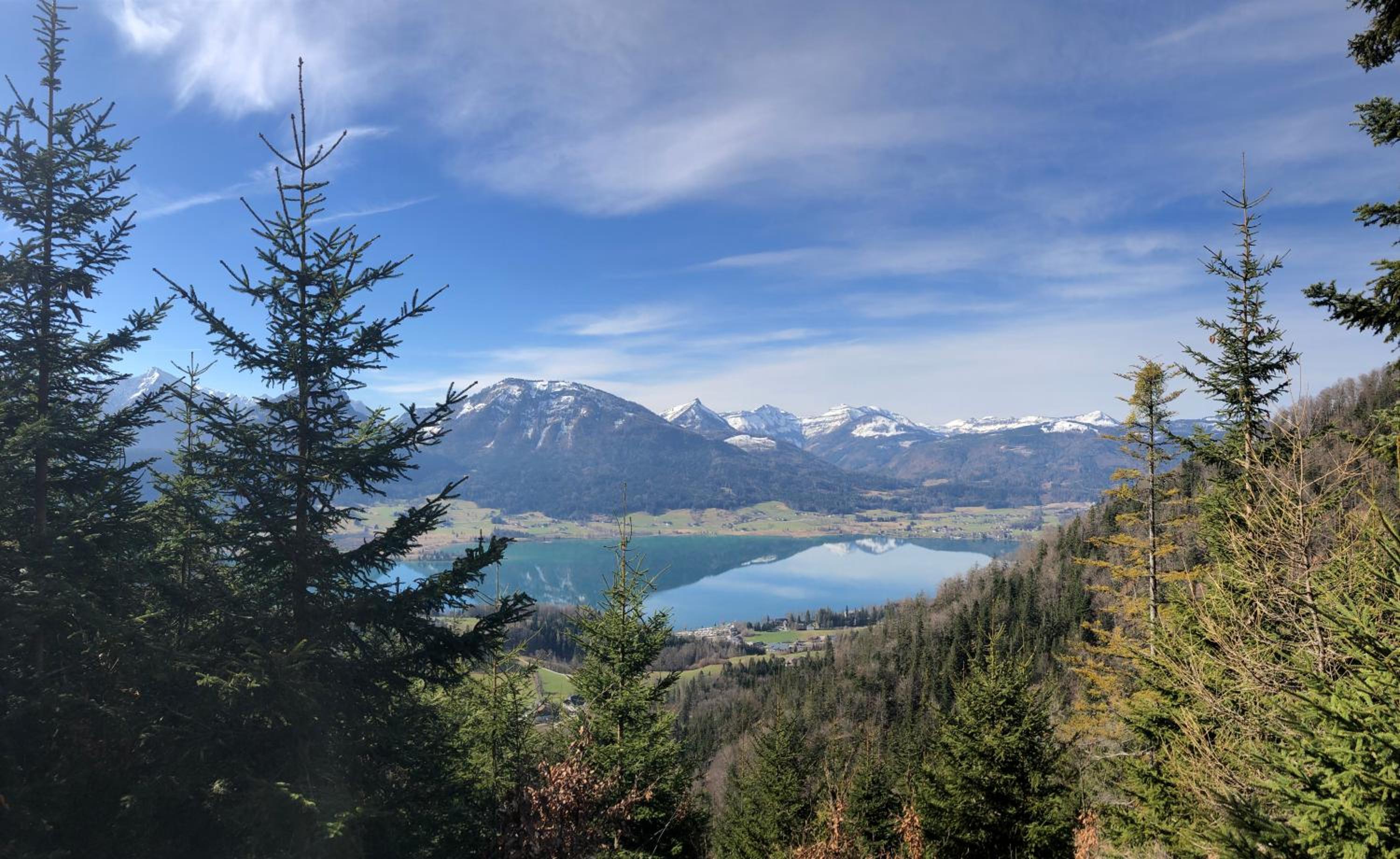 Seestern Strobl