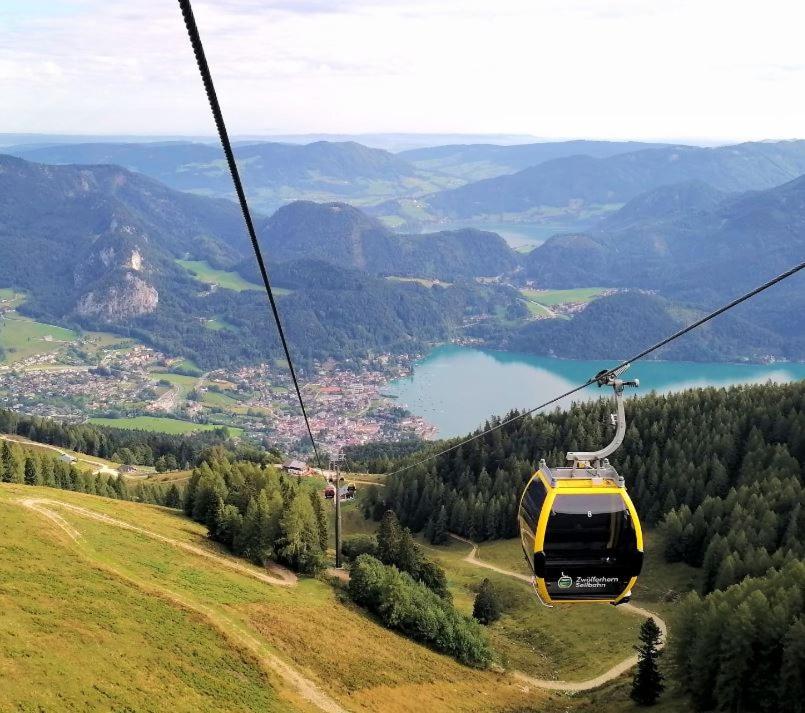 Seestern Strobl