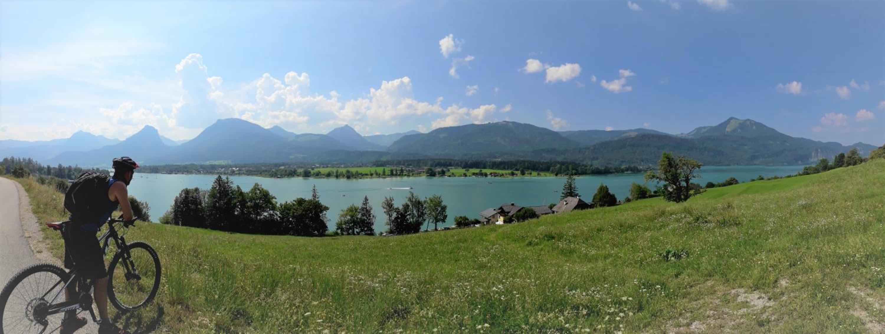 Seestern Strobl
