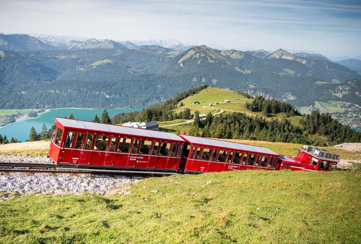 Seestern Strobl