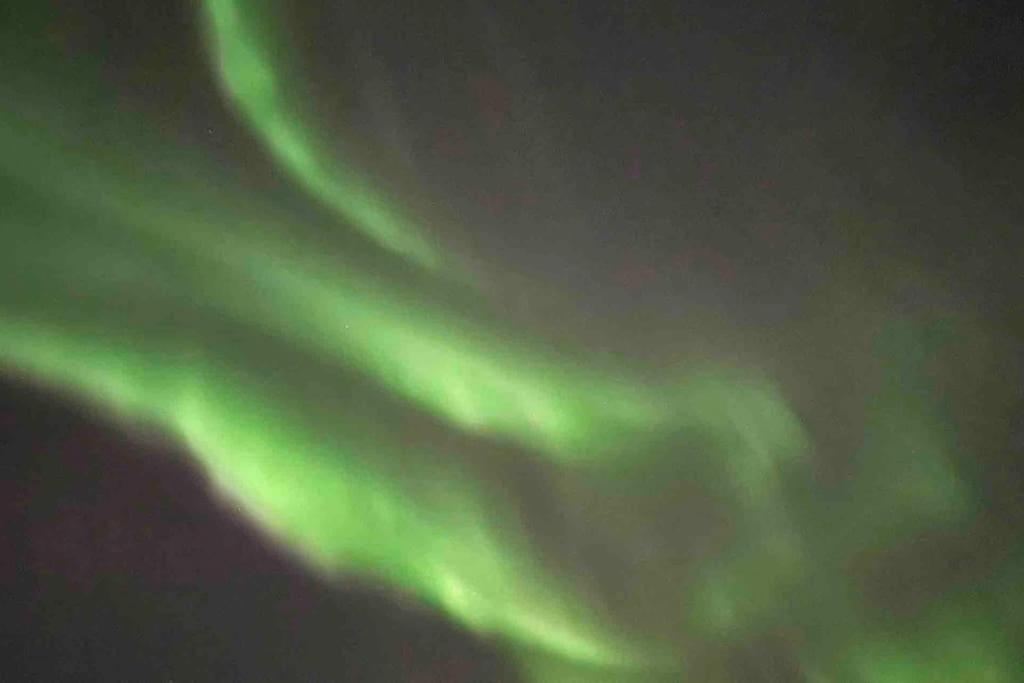 Leilighet sentralt i Tromsø