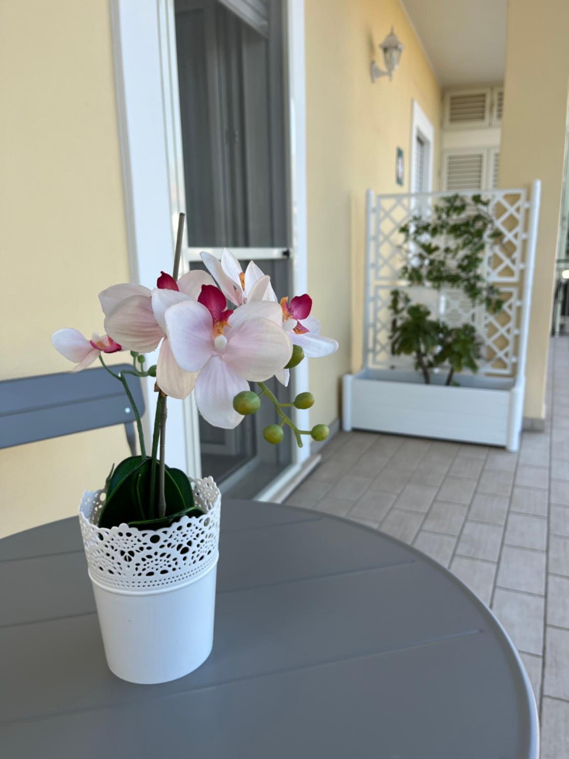 Bed&Breakfast del viaggiatore
