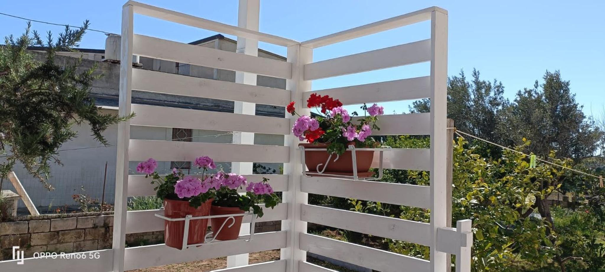 Villa Barbara photo 5