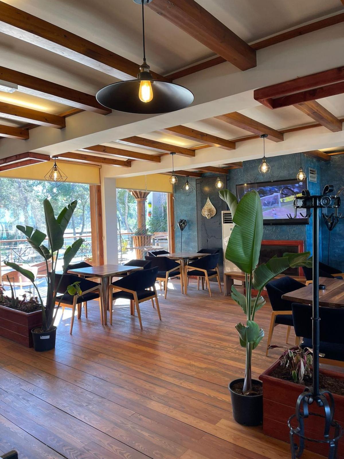 Divjaka Resort photo 3