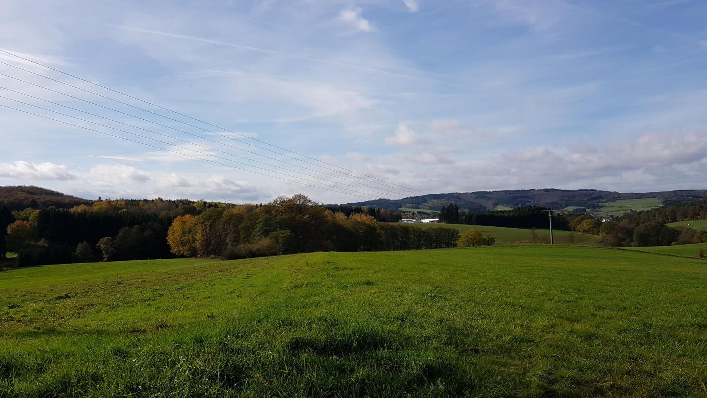 Hinter'm Mäuerchen