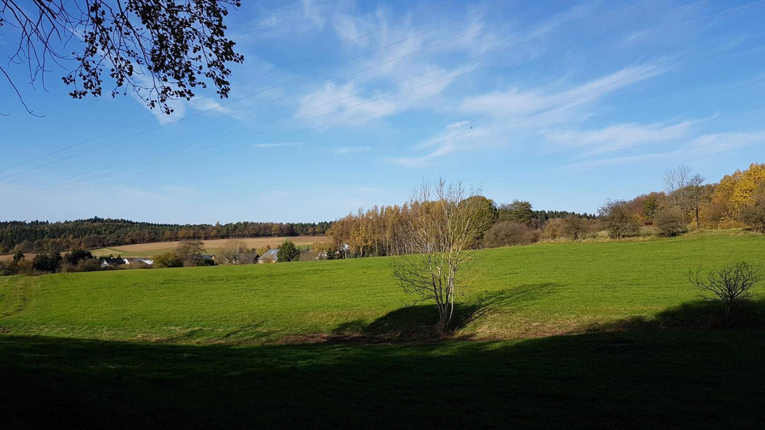 Hinter'm Mäuerchen