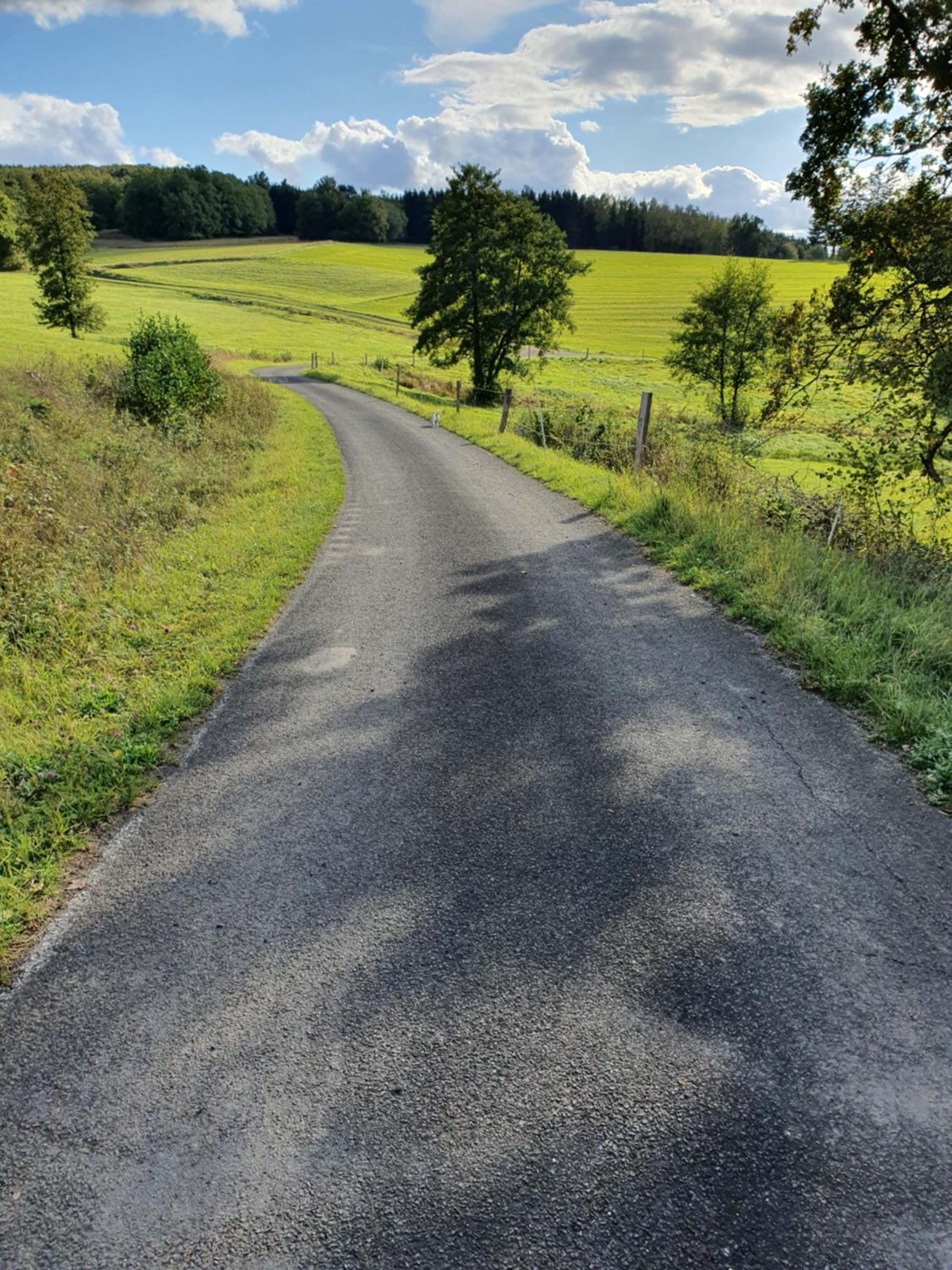 Hinter'm Mäuerchen