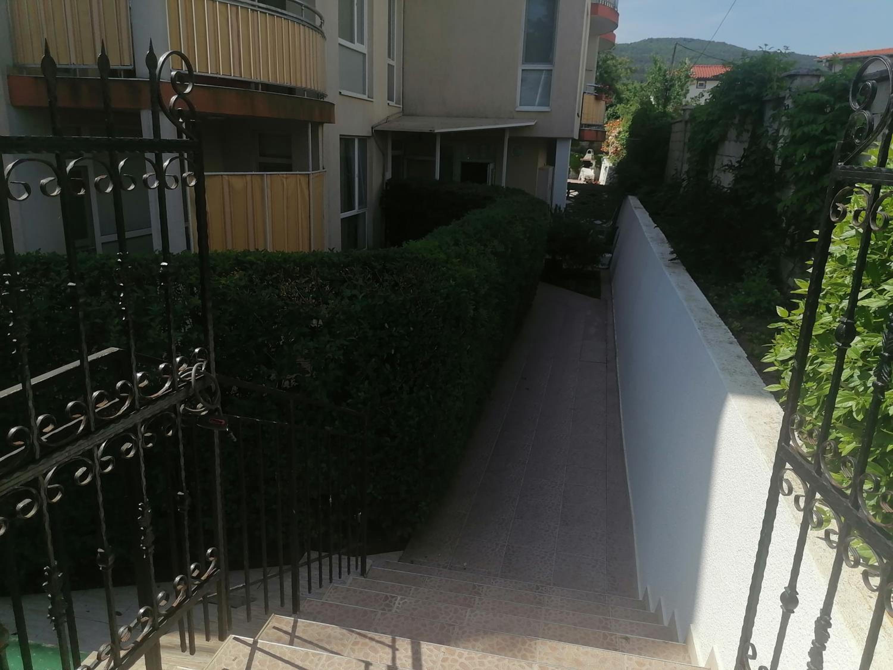 Tedi view 3