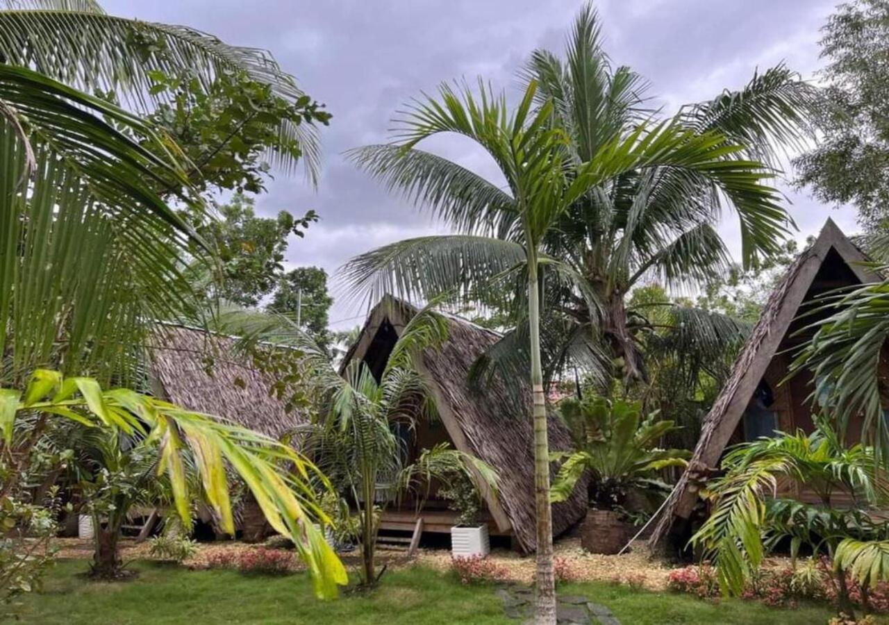 Bohol Island Homestay