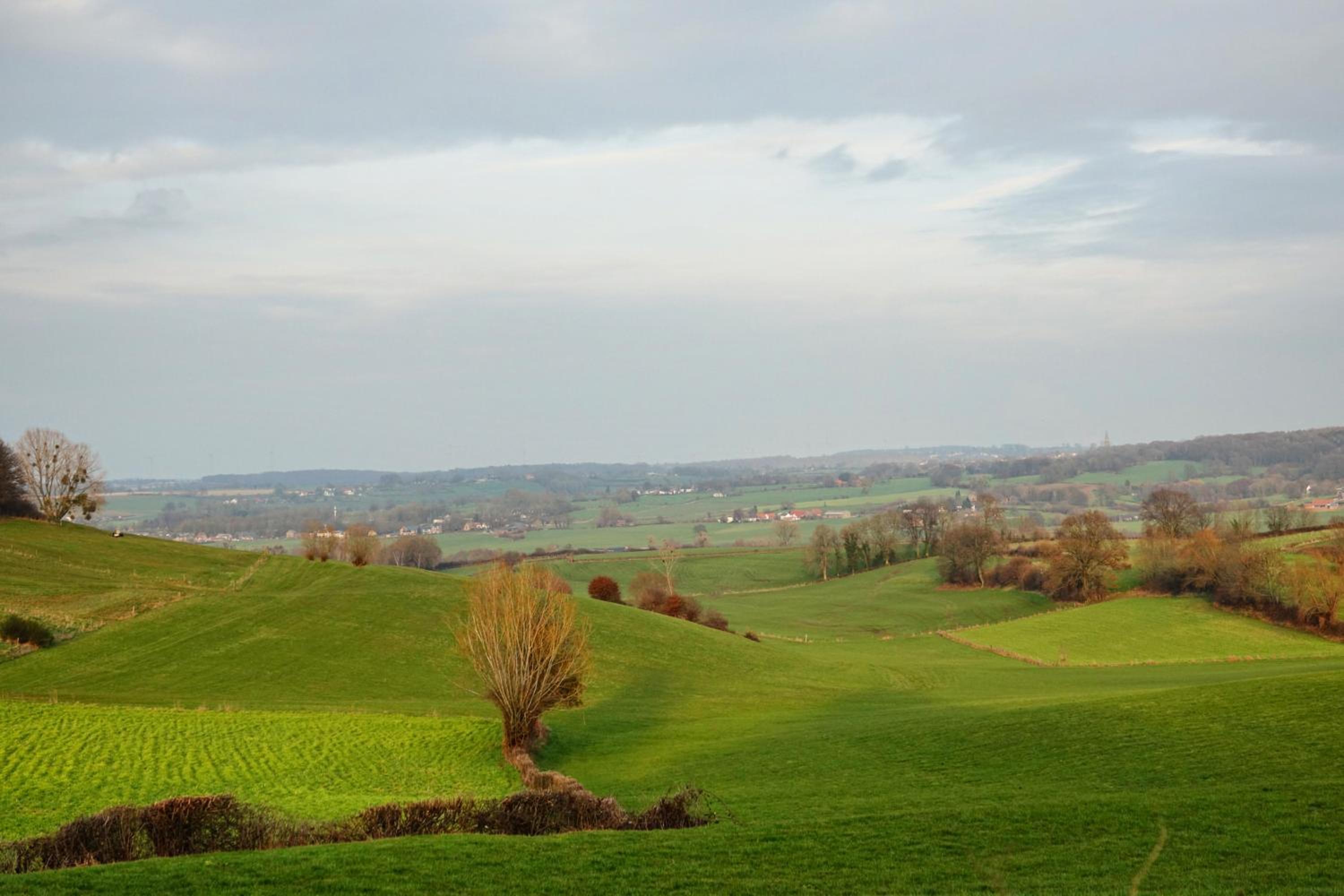 Vakantiewoningen Liefst in Epen