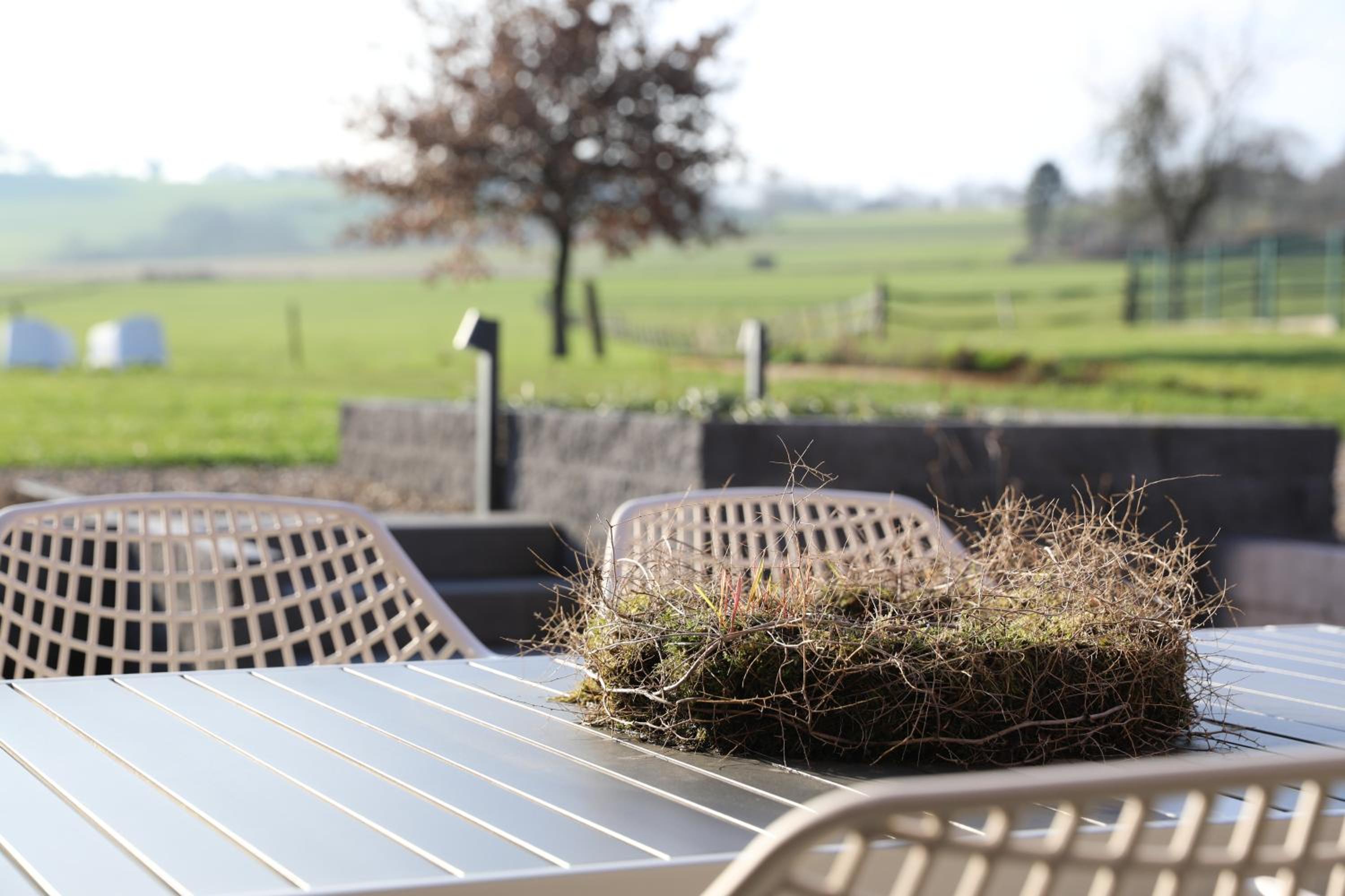 Vakantiewoningen Liefst in Epen