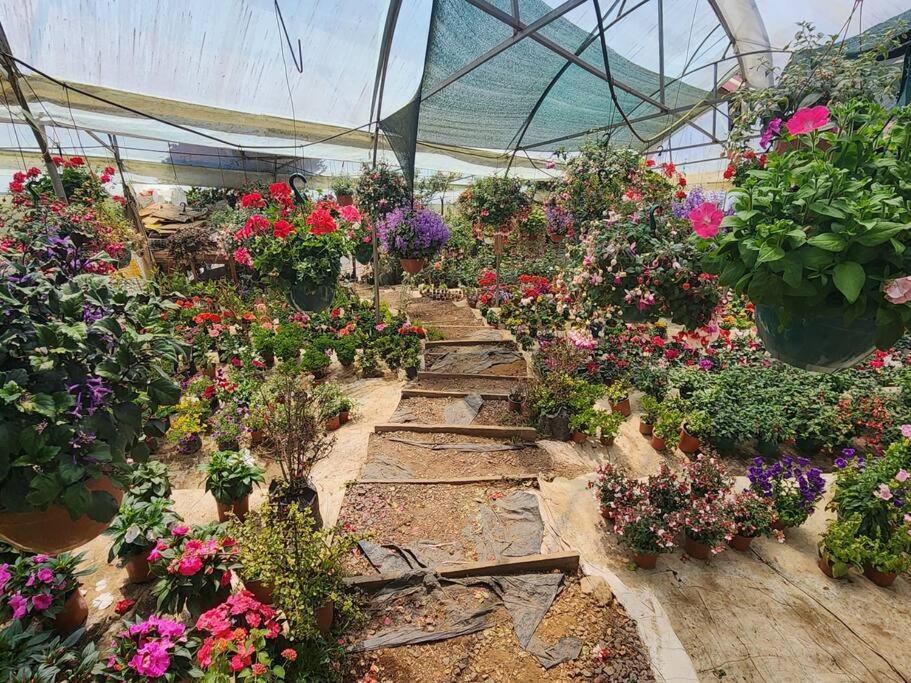 Cabaña el Faisán, Jardín de Dota