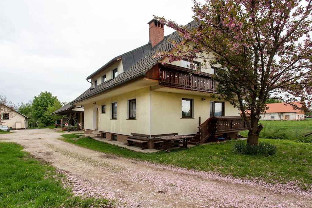 Farmhouse Apartment Happy Cow