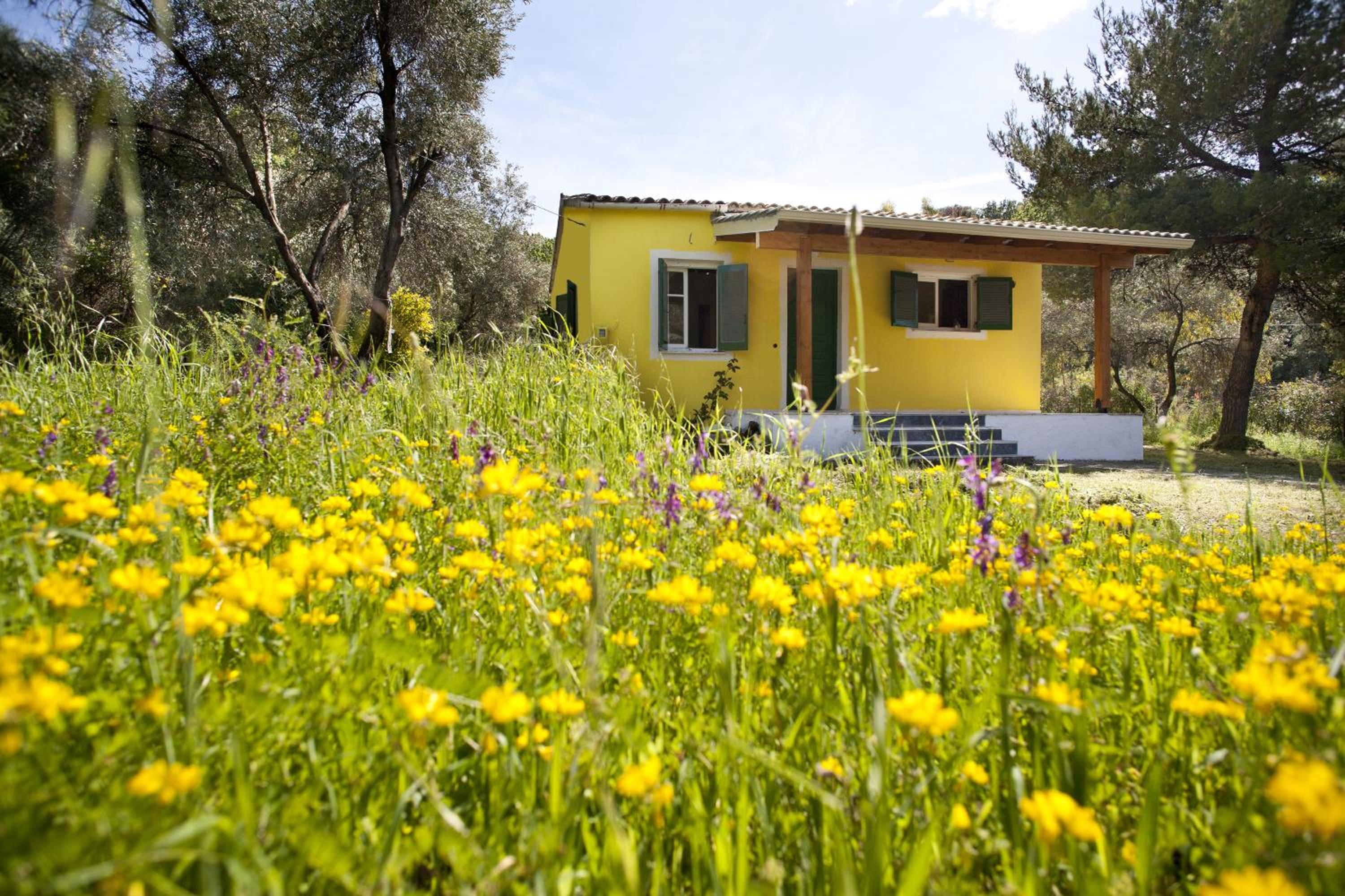 Handmade house