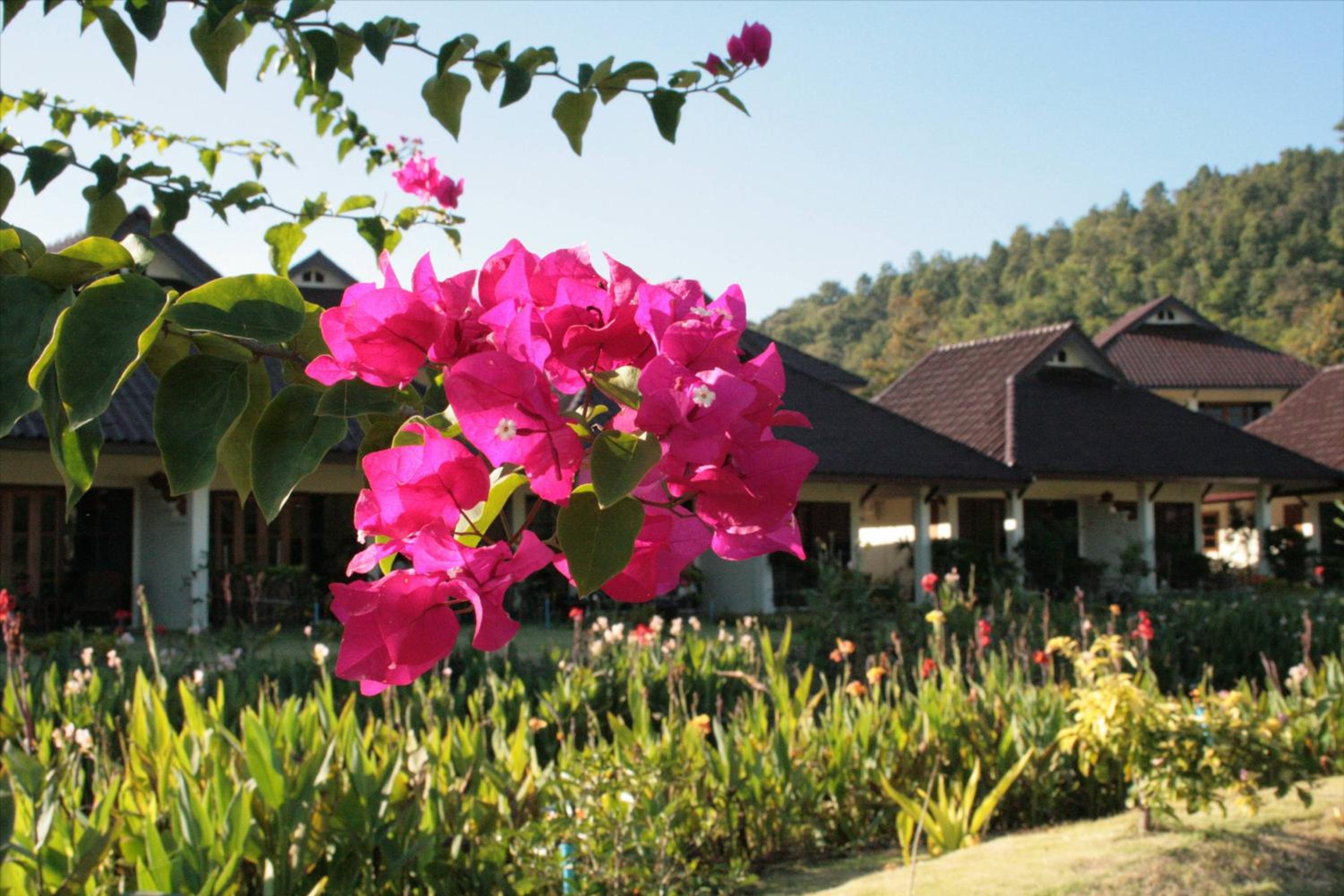Maekok River Village Resort