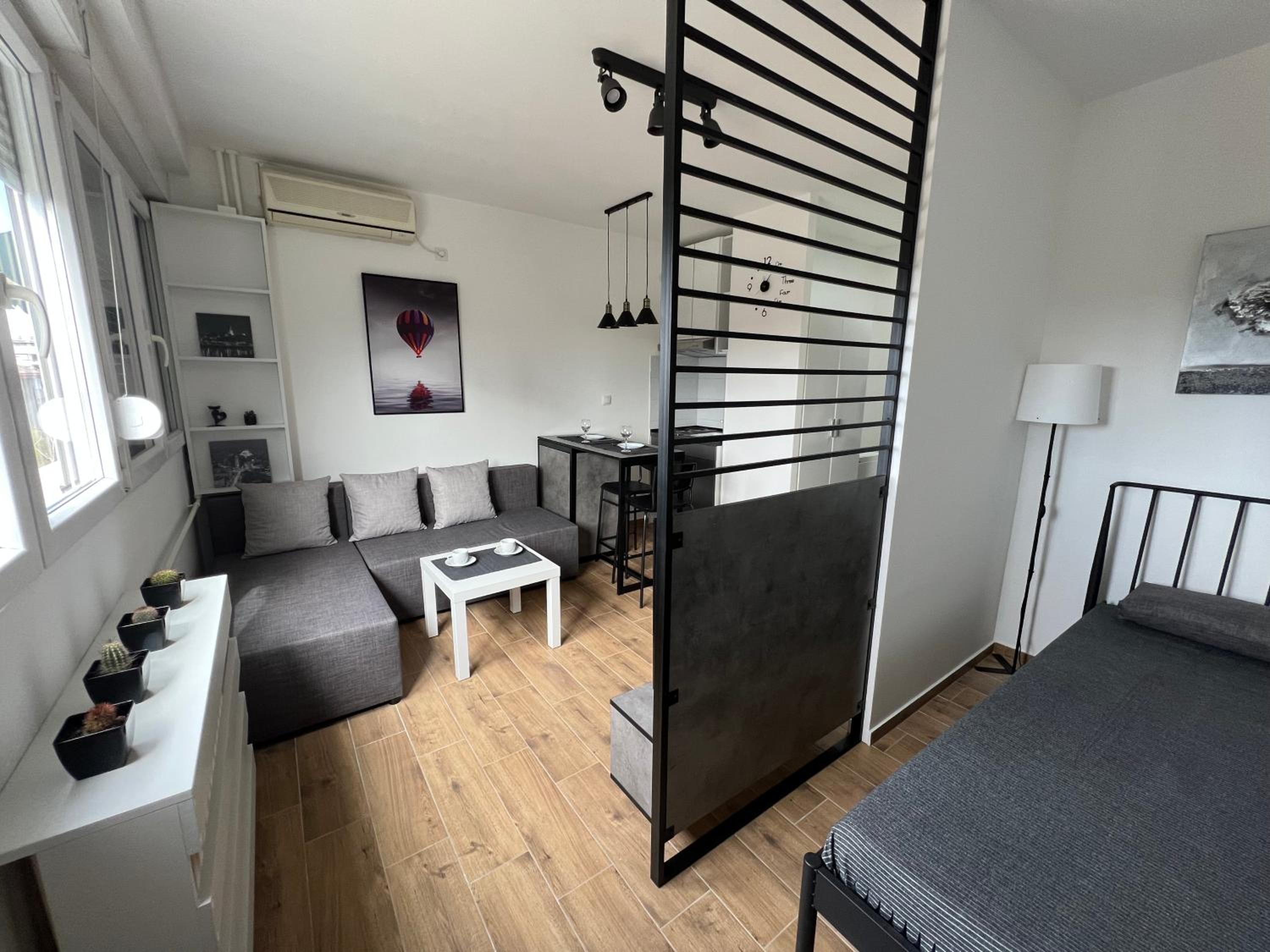 Apartment 55 Belgrade view 2