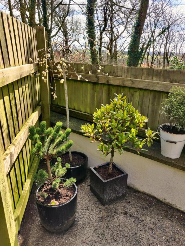 Photo 33