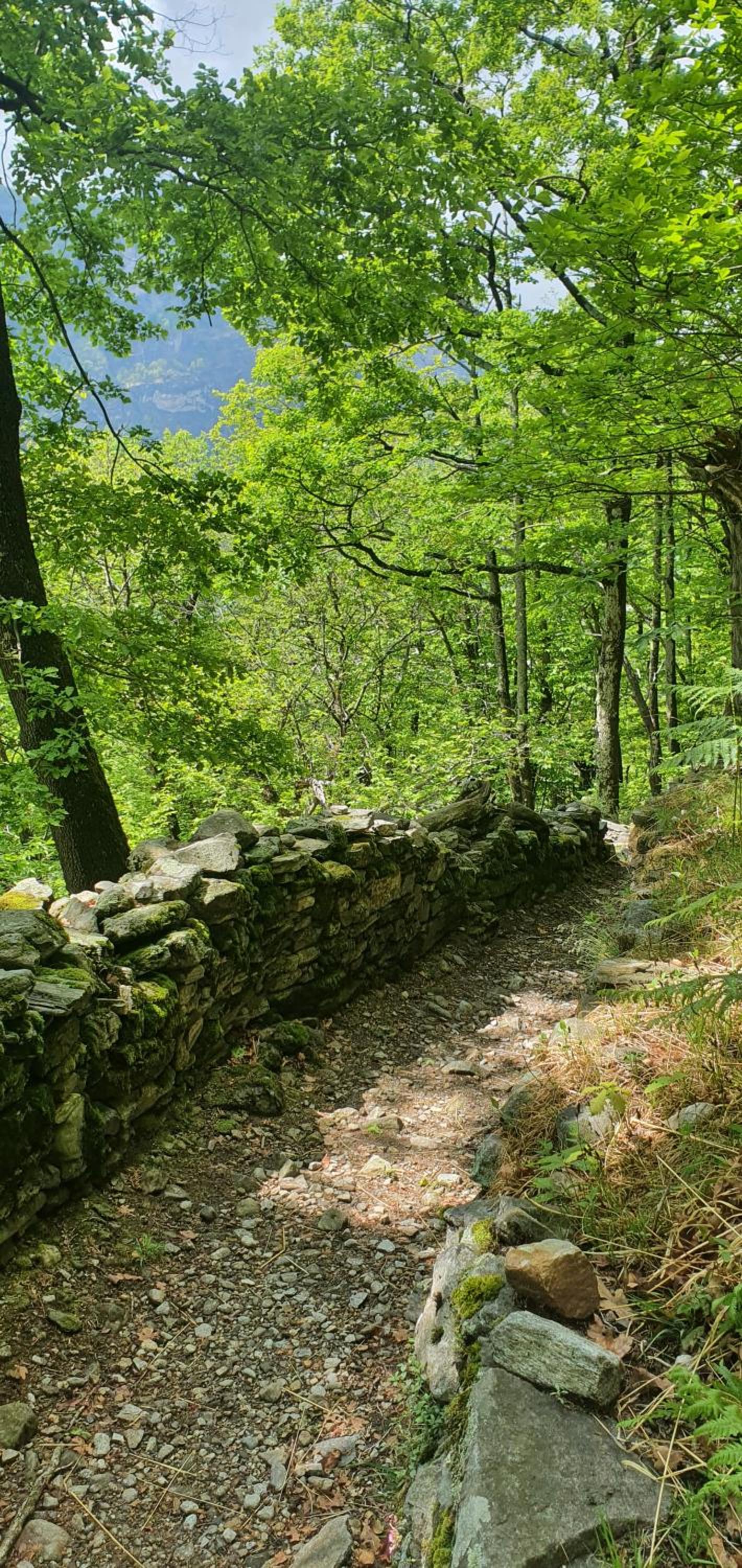 Rustico Pult