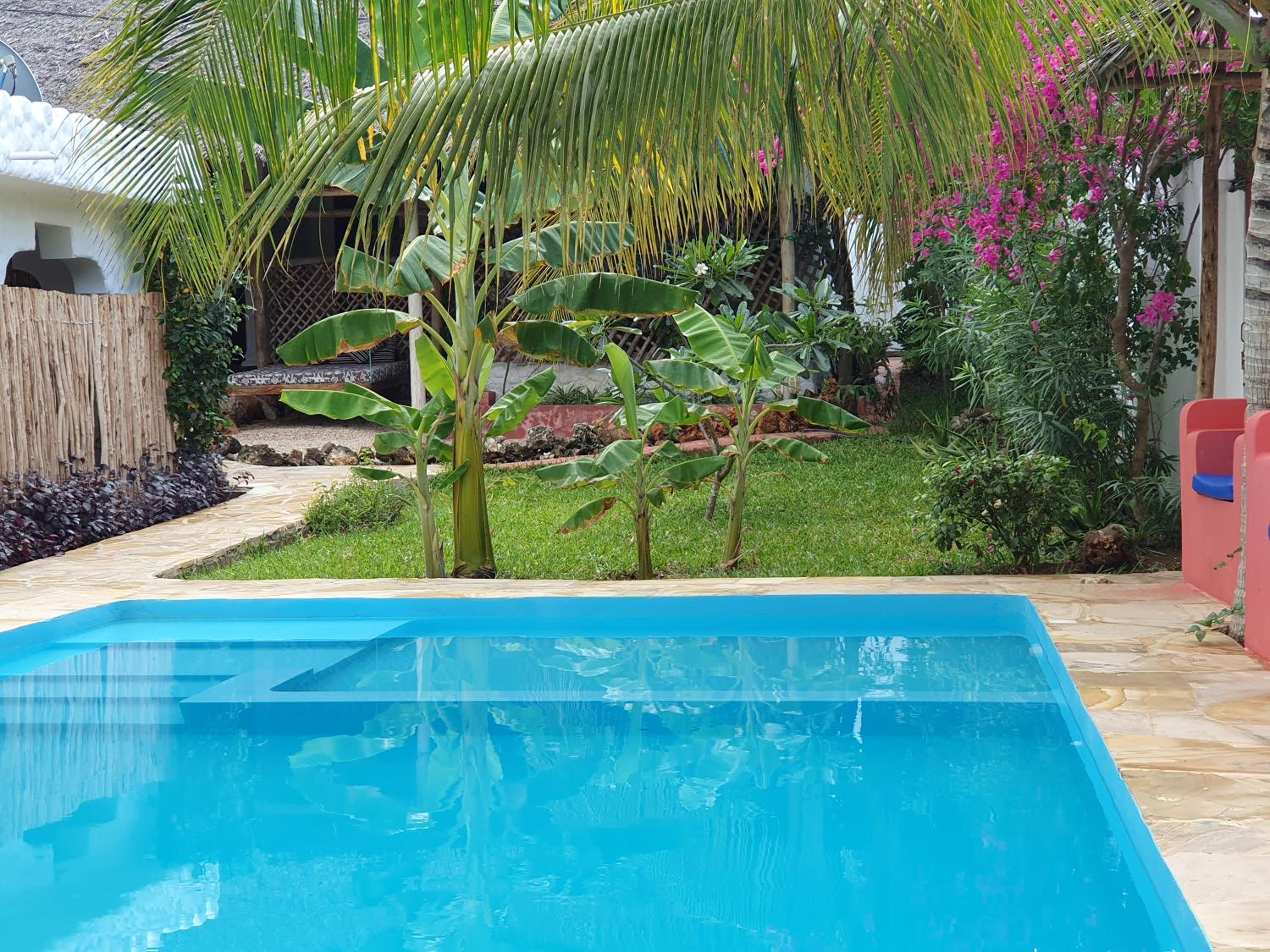 Photo 172