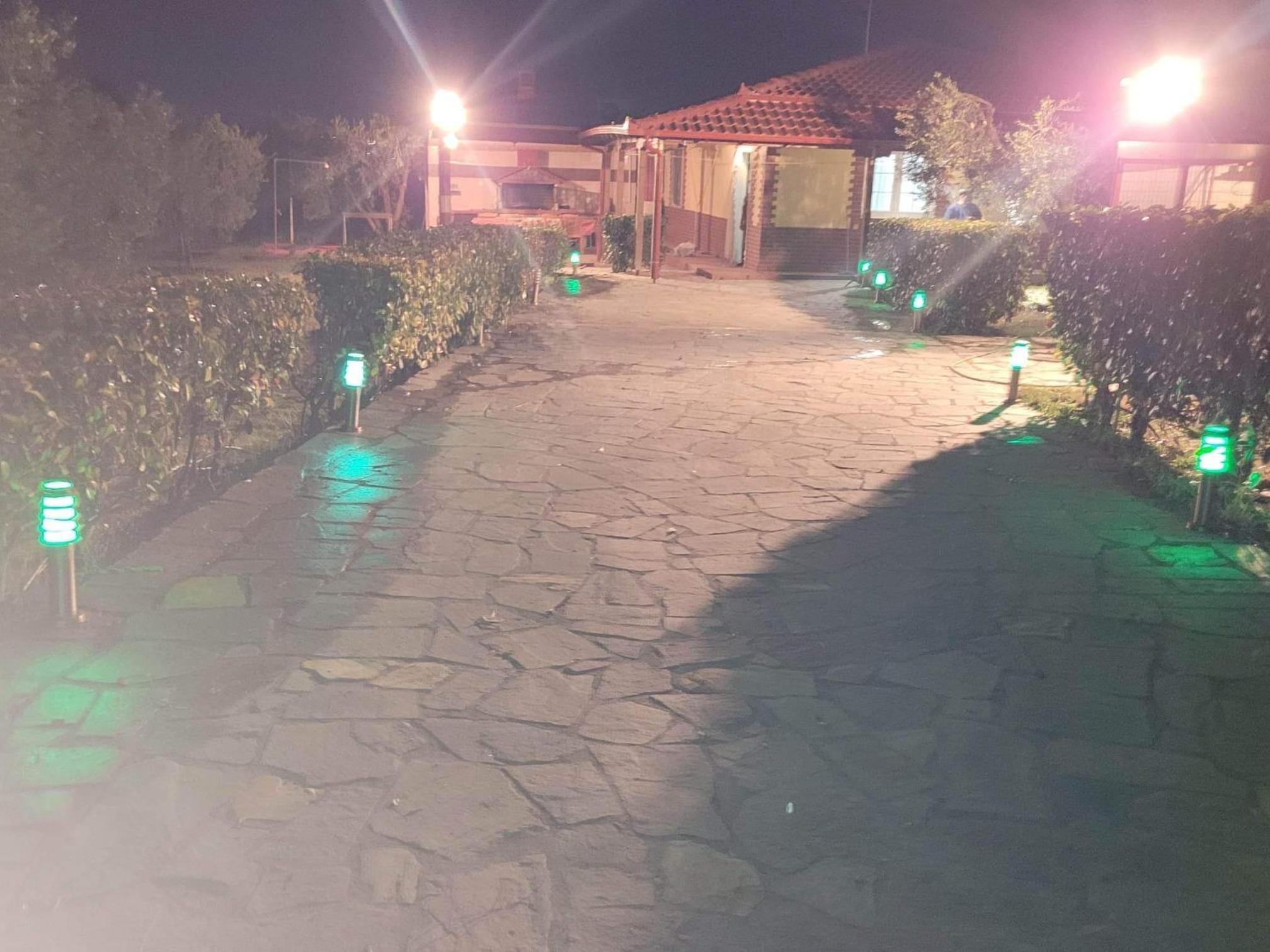 Narcis House