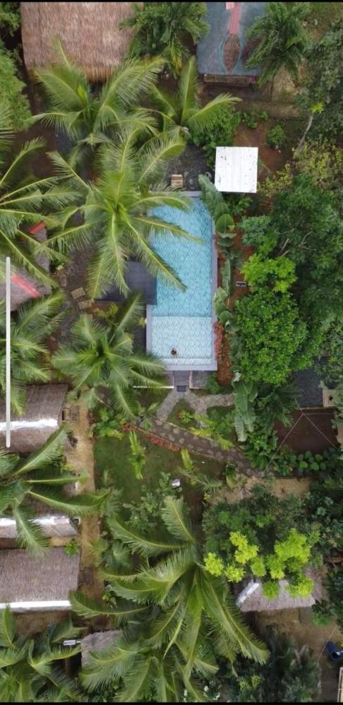 Bohol Island Homestay