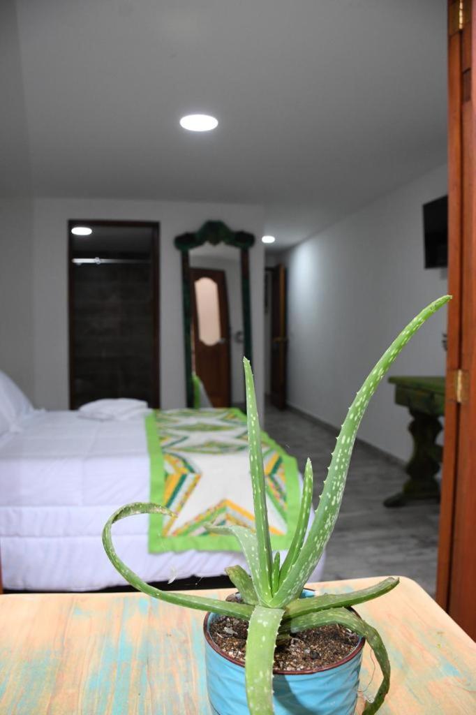 Paisa Territory Jardin
