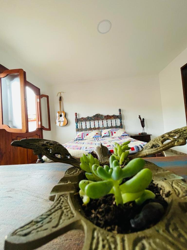 Paisa Territory Jardin